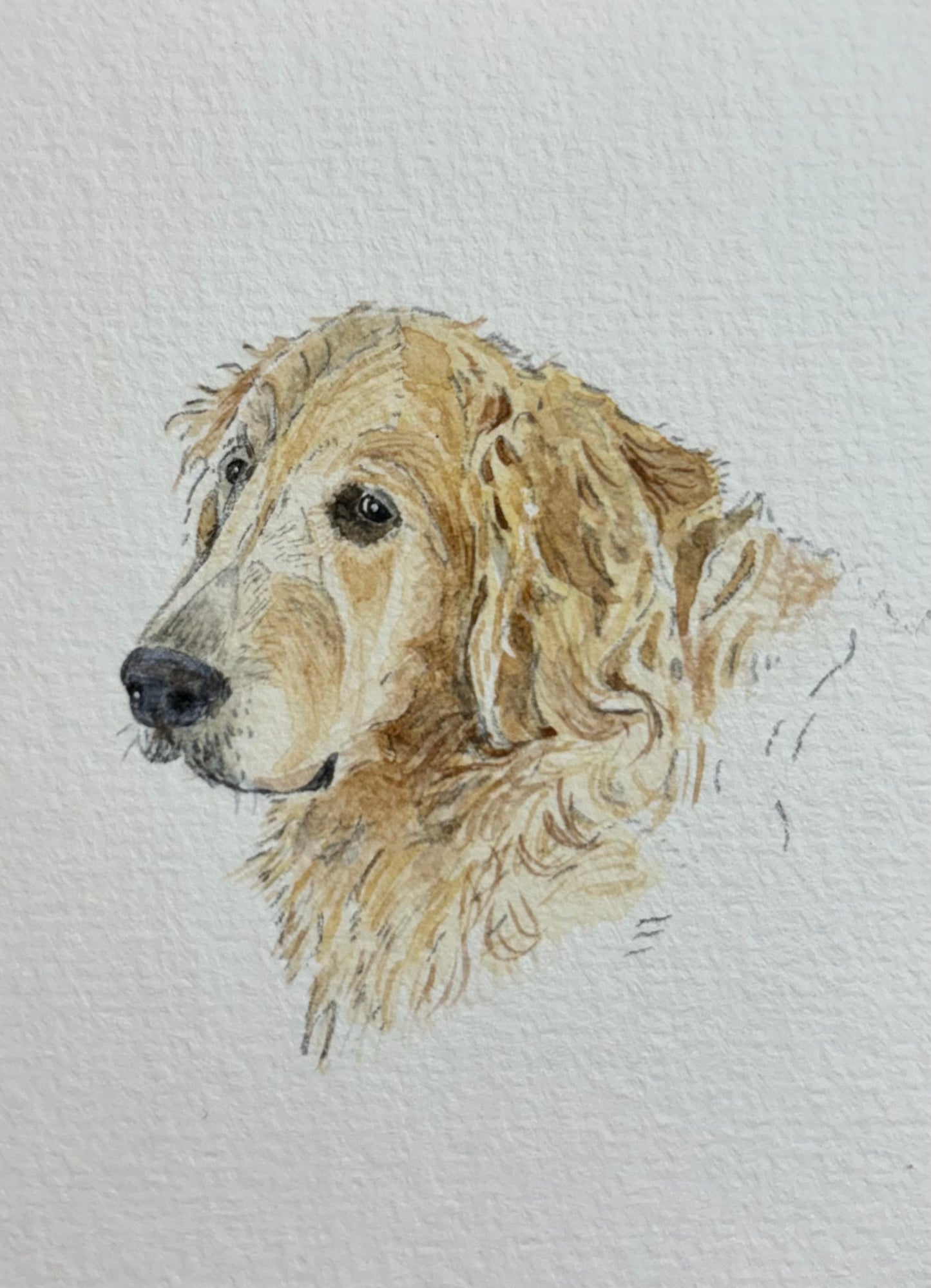 Custom Miniature Pet Portraits by Lucy