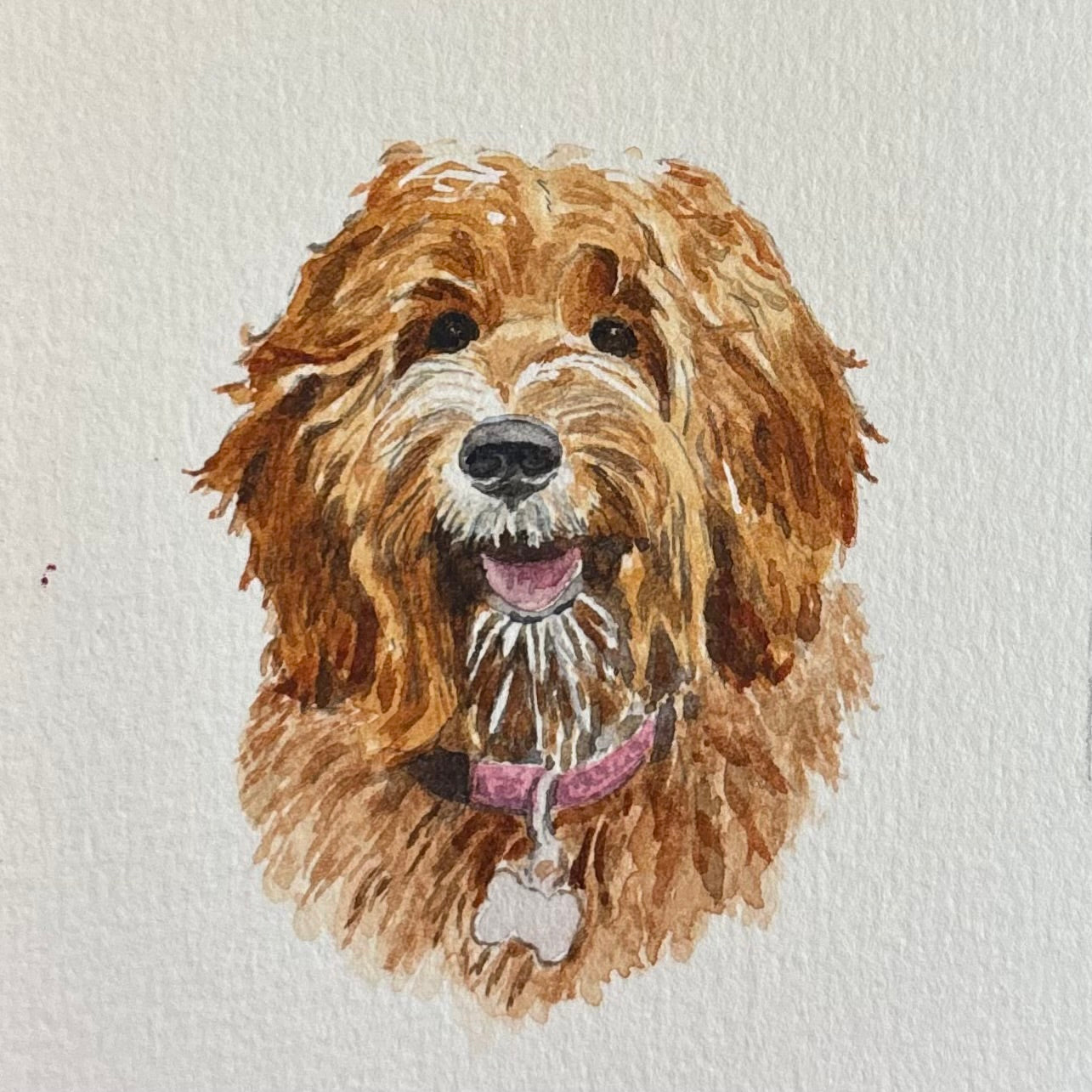 Custom Miniature Pet Portraits by Lucy