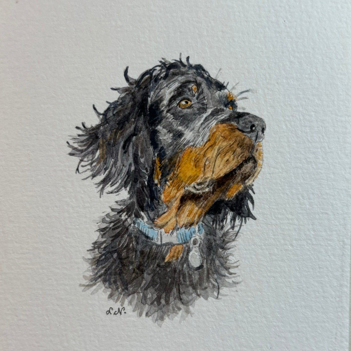 Custom Miniature Pet Portraits by Lucy
