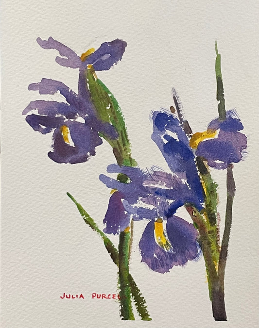 Blue Flag Iris, Original Watercolour by Julia
