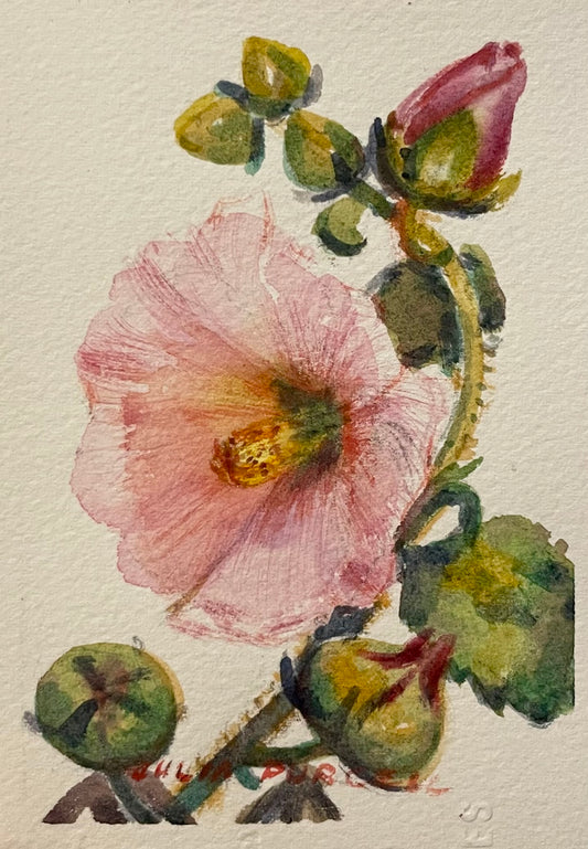 In the Pink, Original Watercolour by Julia