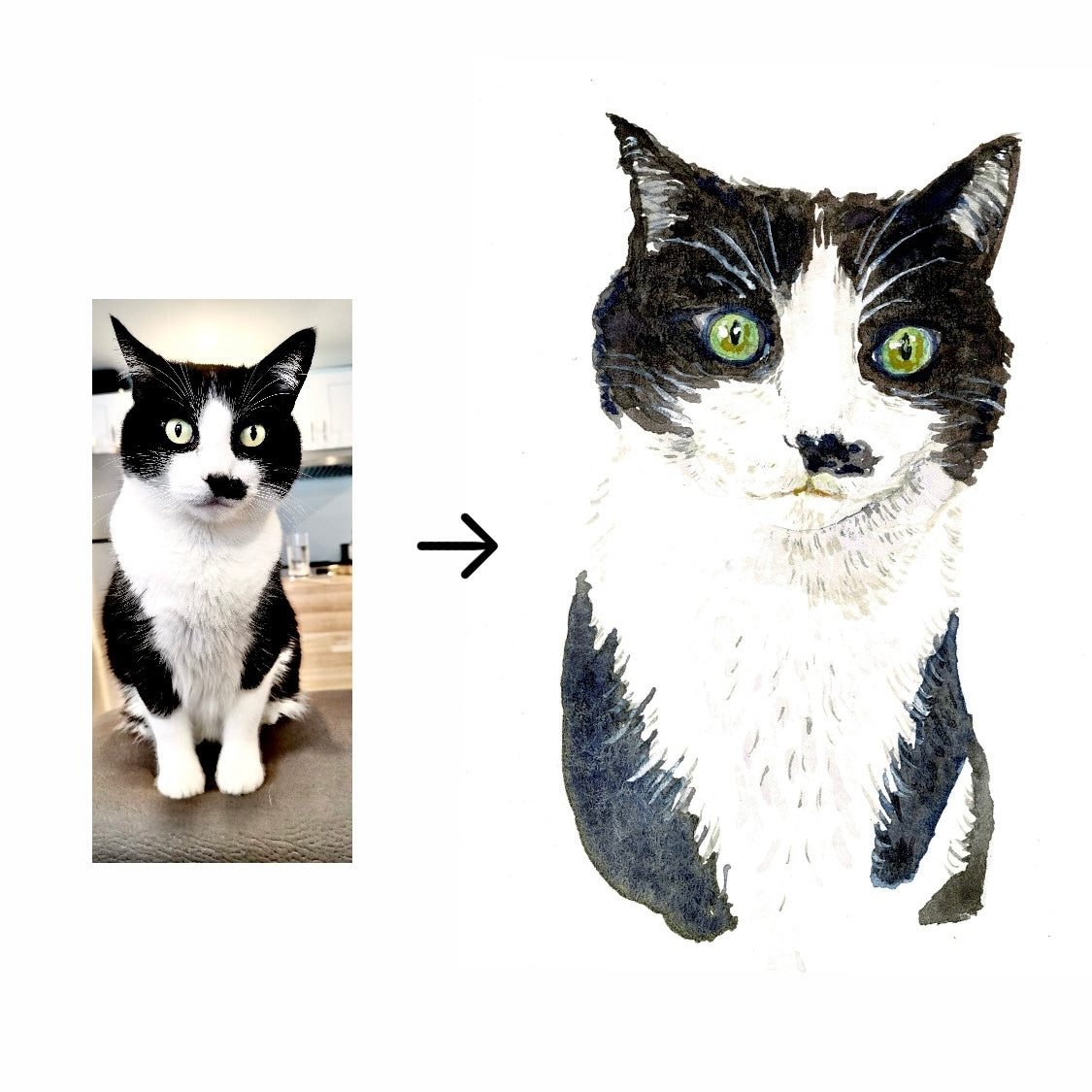 Custom Miniature Pet Portraits by Lucy
