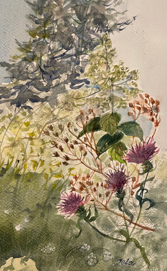 Late Summer Flowers, Original Watercolour by Tela