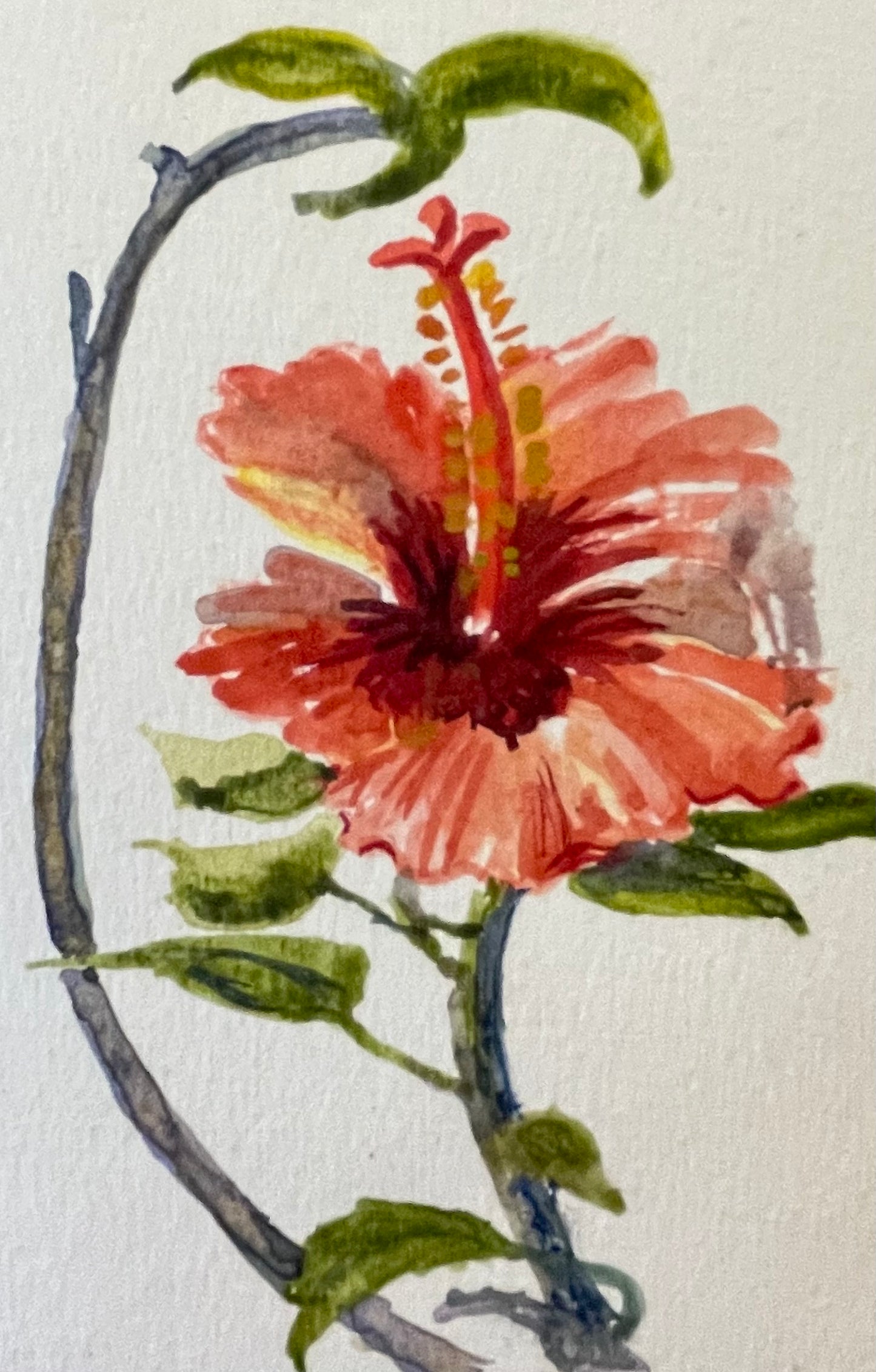 "Hyacinth in Bloom", Original Watercolour by Tela