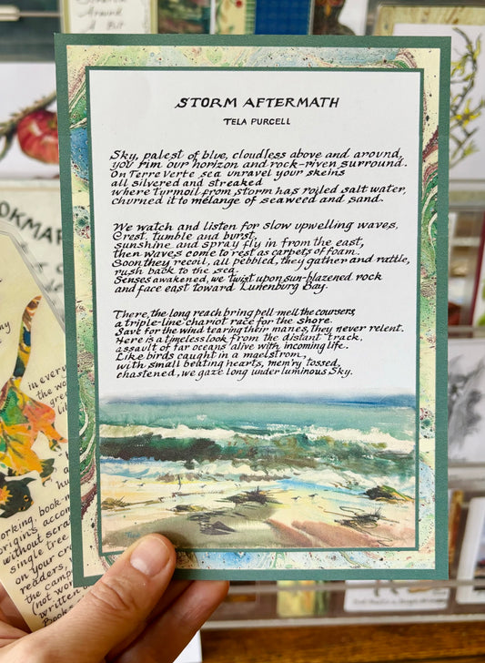 Storm Aftermath, a Poem by Tela