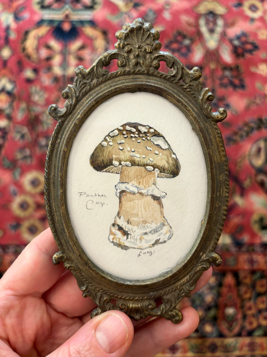 Panther Cap, Original Watercolour by Lucy