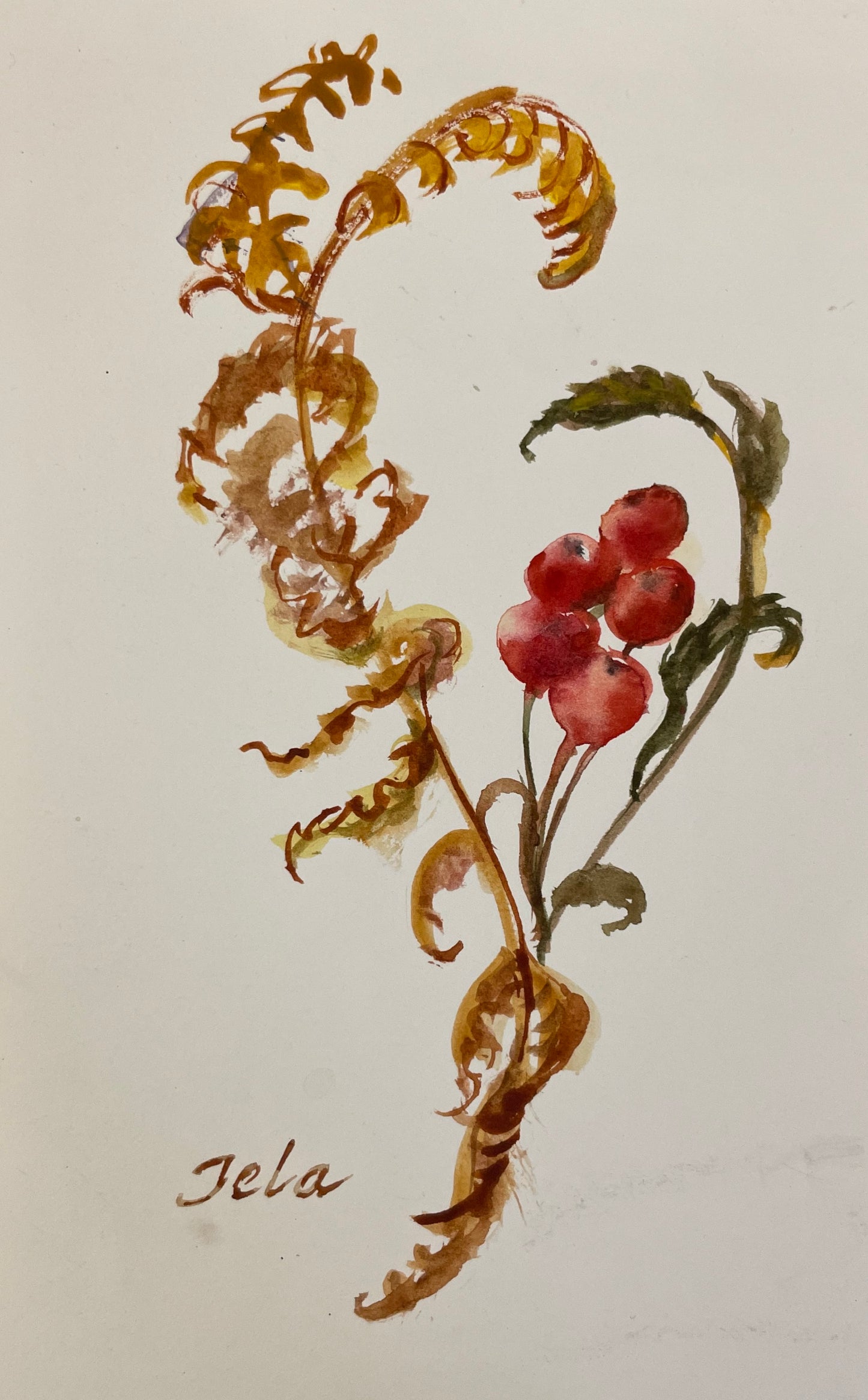 "Rowan Berries with Cinnamon Fern", Original Watercolour by Tela