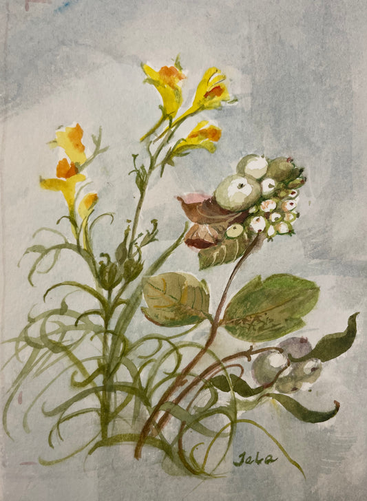 "Toadflax with Snowberries", Original Watercolour by Tela