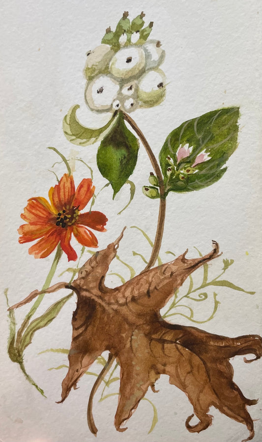 "Autumn Treasures", Original Watercolour by Tela