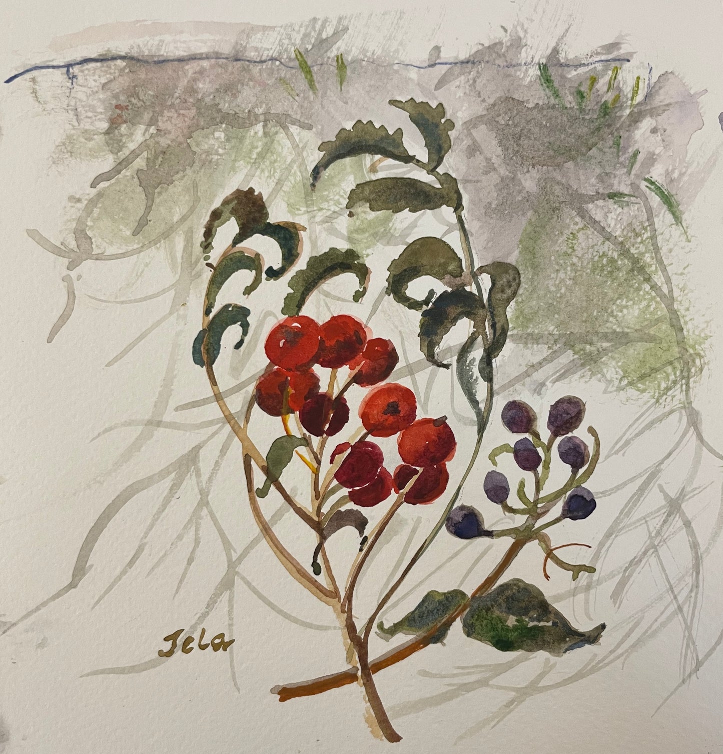 "Rowan Berries and Wild Raisin" an Original Watercolour by Tela