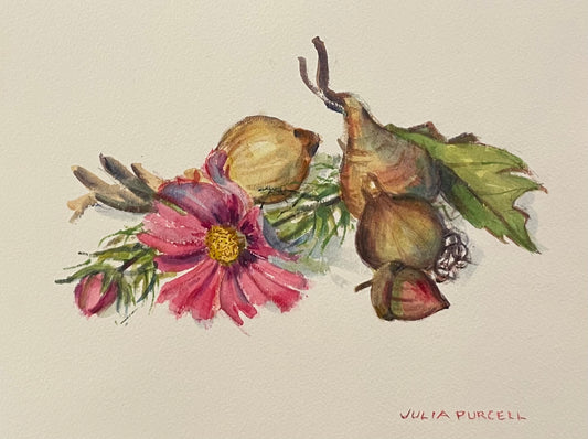 End of Season Harvest, Original Watercolour by Julia