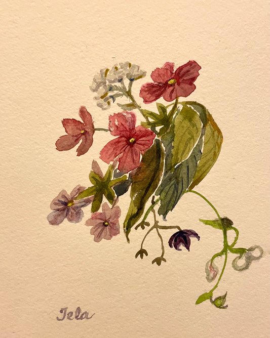 “A Punch of Pink”, an Original Watercolour by Tela